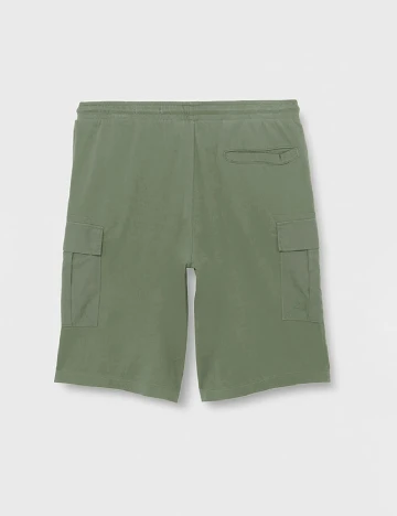 Pantaloni scurti s.Oliver Plus Size Men, verde Verde
