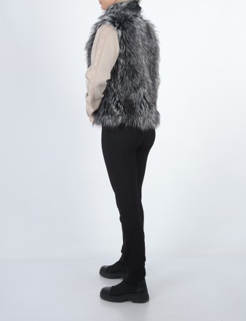 Vesta Guess, gri