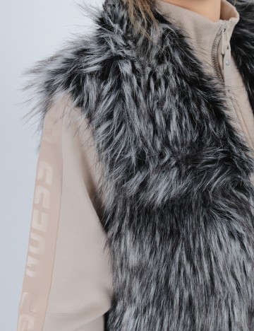 Vesta Guess, gri