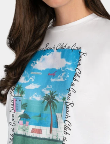 Top Guess, a