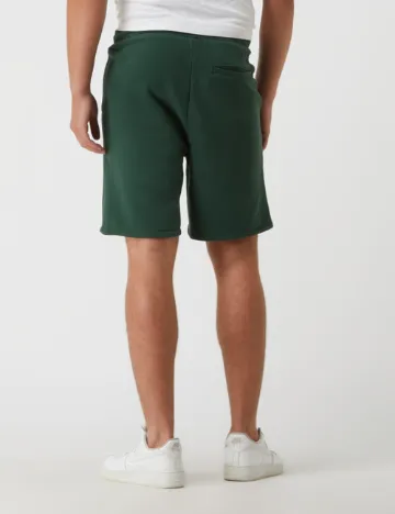 Pantaloni scurti Q/S, verde Verde