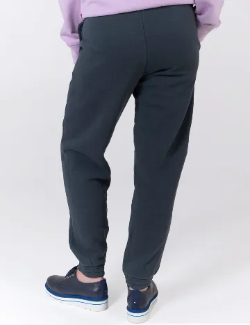 Pantaloni American Eagle, gri petrol Gri