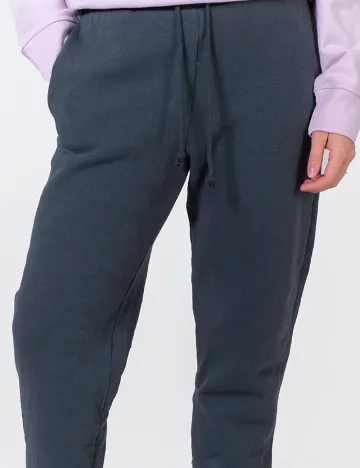 Pantaloni American Eagle, gri petrol Gri