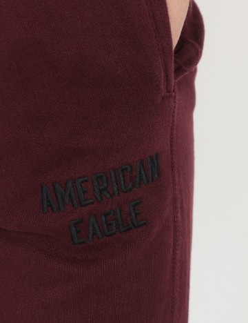 Pantaloni American Eagle, visiniu