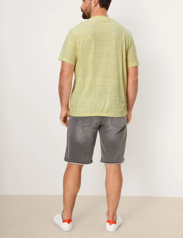 Tricou s.Oliver Plus Size Men, verde Verde