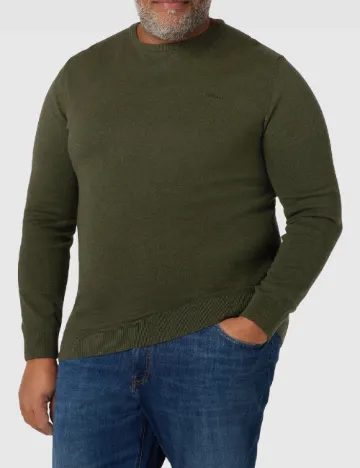 Bluza s.Oliver Plus Size Men, verde Verde