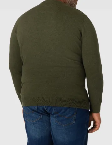 Bluza s.Oliver Plus Size Men, verde Verde