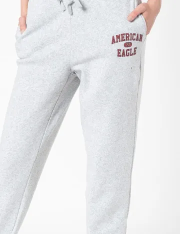 Pantaloni American Eagle, gri Gri