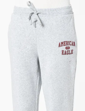 Pantaloni American Eagle, gri Gri