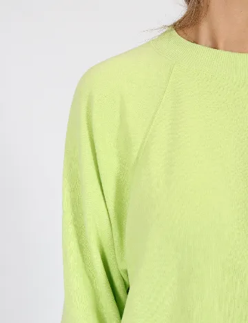 Bluza Oversize American Eagle, verde Verde