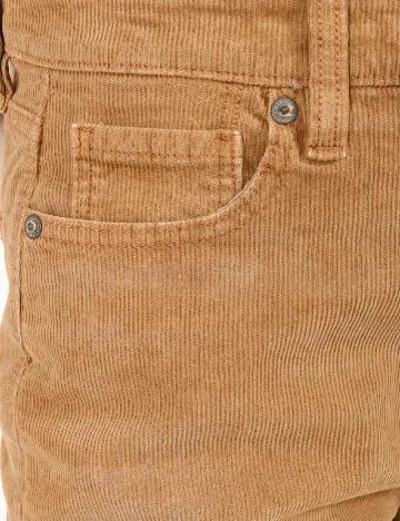 Pantaloni American Eagle, maro Maro