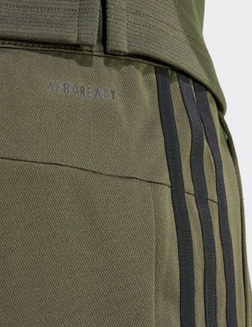 Pantaloni scurti Adidas, verde