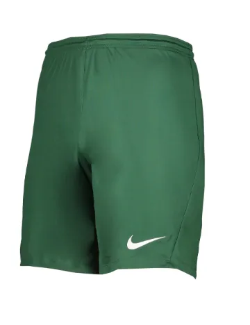 Pantaloni scurti Nike, verde Verde