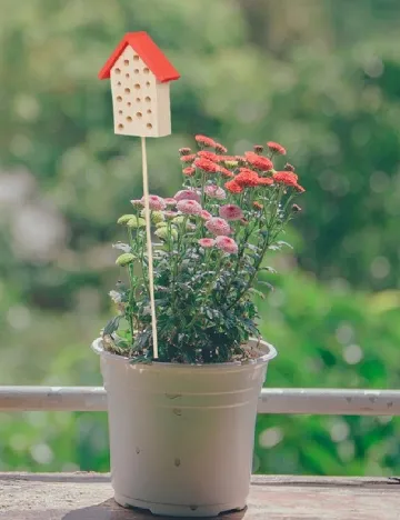 Casa pentru insecte Home Accents, rosu/bej