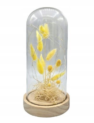 Lampa OutletMag, transparent