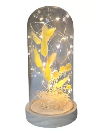 Lampa OutletMag, transparent