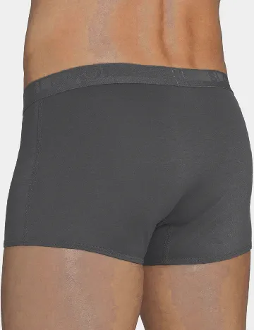Boxeri Sloggi by Triumph, gri