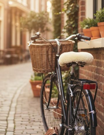 Husa de sa Walfort, galben