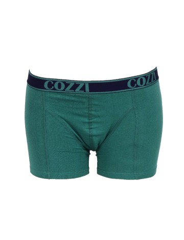 Set Boxeri 2 perechi Cozzi, albastru/verde