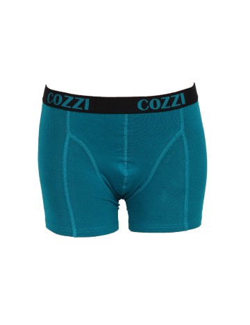 Set Boxeri 2 perechi Cozzi, albastru/verde
