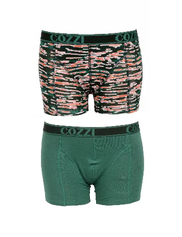 Set Boxeri 2 perechi Cozzi, verde Verde