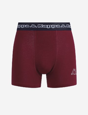 Boxeri Kappa, visiniu