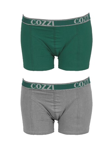 Set Boxeri 2 perechi Cozzi, gri/verde