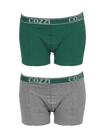 Set Boxeri 2 perechi Cozzi, gri/verde Gri