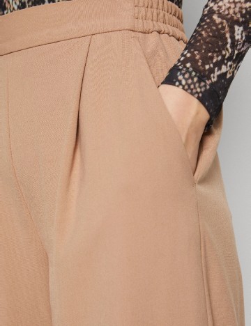 Pantaloni ALLSAINTS, maro