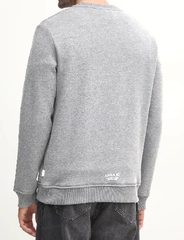 Bluza Pepe Jeans, gri Gri