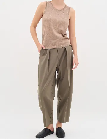 Pantaloni InWear, maro Maro