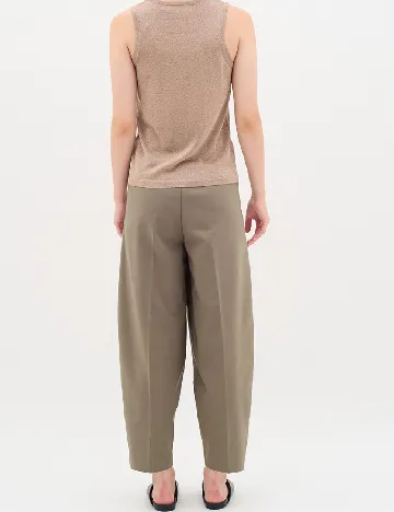 Pantaloni InWear, maro Maro