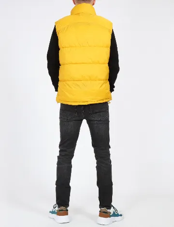 Vesta Polo Ralph Lauren, galben Galben