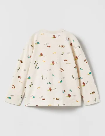 Bluza Zra, crem Crem