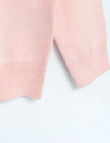 Cardigan Cool Club, roz Roz
