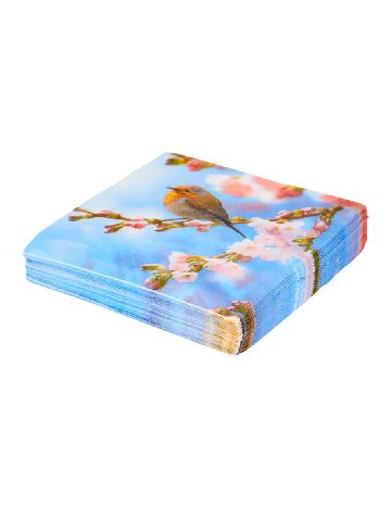 Set servetele 20 buc Glopoll, mix culori