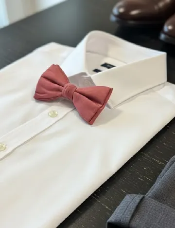 Papion Zara, roz Roz