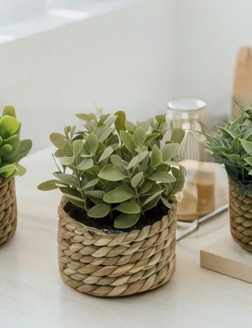 Planta artificiala SHEIN, verde/maro