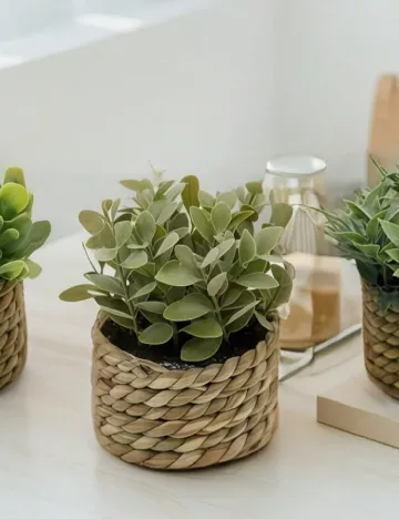 Planta artificiala SHEIN, verde/maro Verde