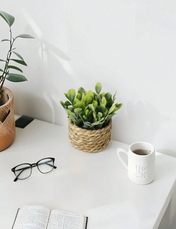 Planta artificiala SHEIN, verde/maro