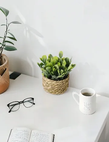 Planta artificiala SHEIN, verde/maro