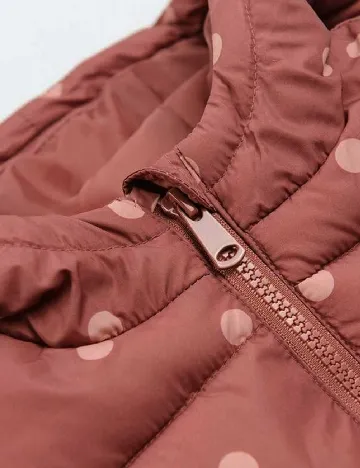 Vesta Cool Club, roz Roz