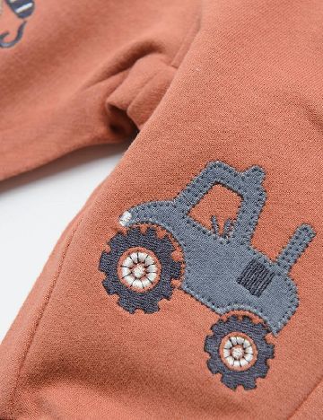 Pantaloni Cool Club, maro