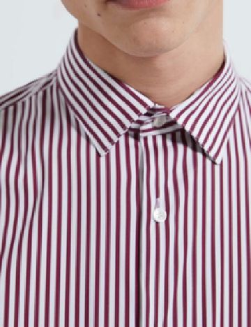 Camasa Zara, alb/visiniu