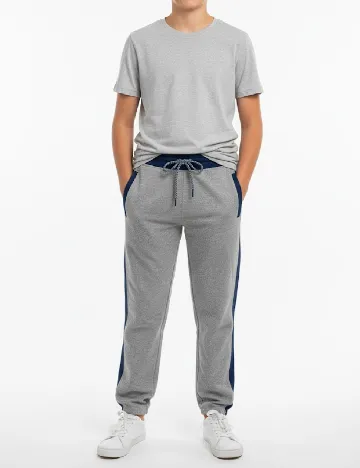 Pantaloni Zara, gri Gri