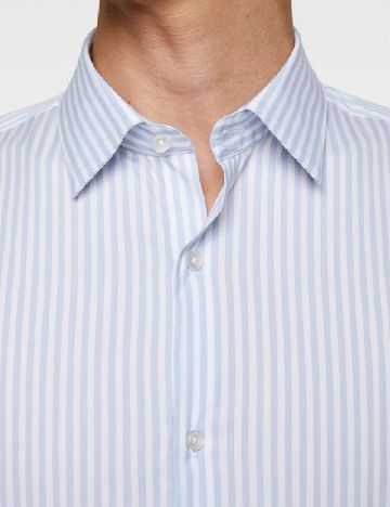 Camasa Zara, albastru/alb