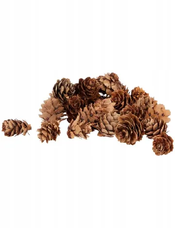 Set muguri mici de pin Home Accents, maro Maro