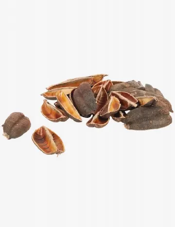 Materiale decorative naturale Home Accents, maro Maro