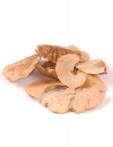 Mix ciuperci uscate decorative 100 g Home Accents, maro Maro