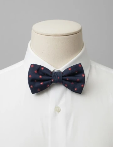 Papion Zara, bleumarin inchis Albastru